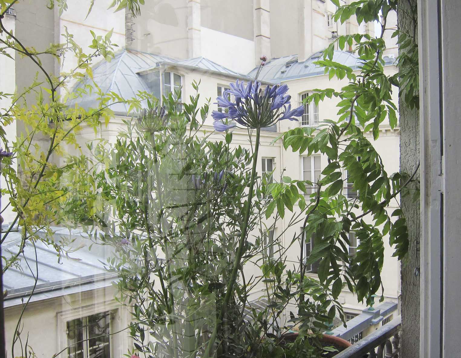 03_laumain