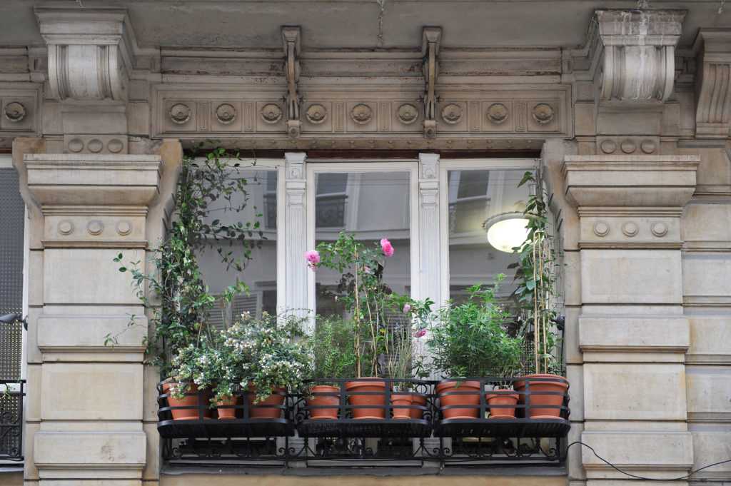 Jardinière Fenêtre Paris. Le Vert à Soi