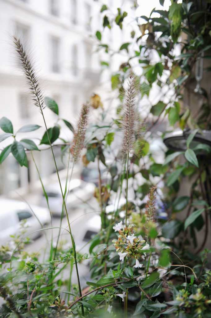 Jardinière Fenêtre Paris. Le Vert à Soi