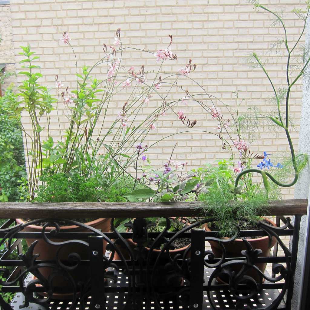 Jardinière Fenêtre Paris. Le Vert à Soi