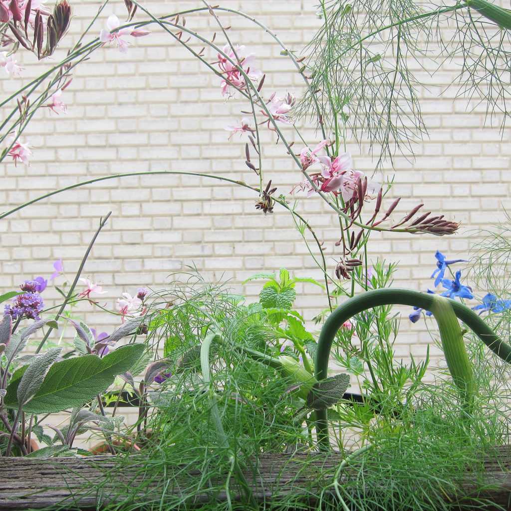 Jardinière Fenêtre Paris. Le Vert à Soi