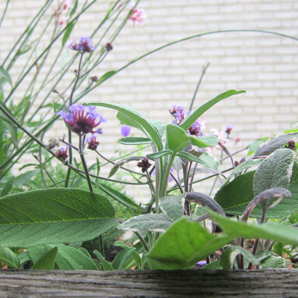 Jardinière Fenêtre Paris. Le Vert à Soi