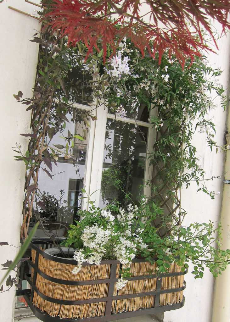 Jardinière Fenêtre Paris. Le Vert à Soi