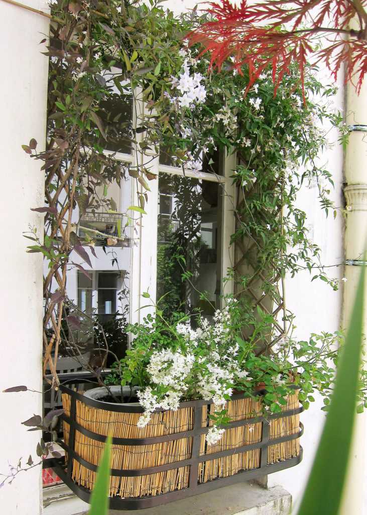 Jardinière Fenêtre Paris. Le Vert à Soi