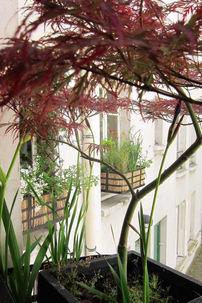 Jardinière Fenêtre Paris. Le Vert à Soi