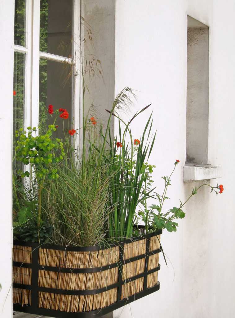 Jardinière Fenêtre Paris. Le Vert à Soi