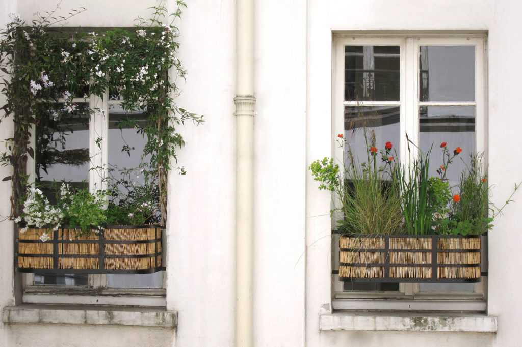 Jardinière Fenêtre Paris. Le Vert à Soi