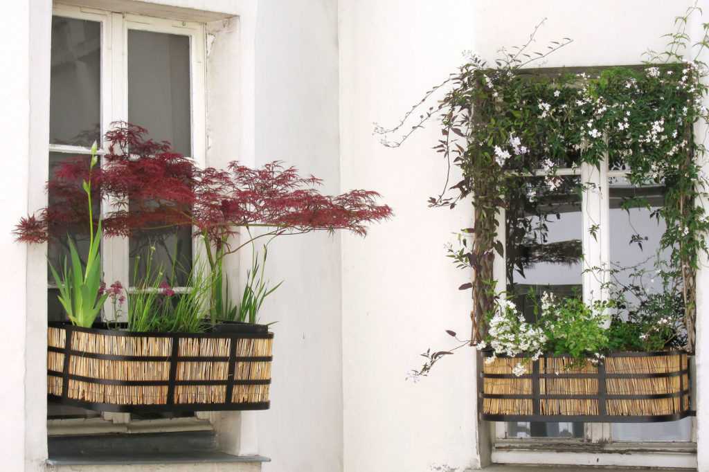 Jardinière Fenêtre Paris. Le Vert à Soi