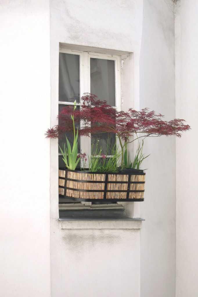 Jardinière Fenêtre Paris. Le Vert à Soi