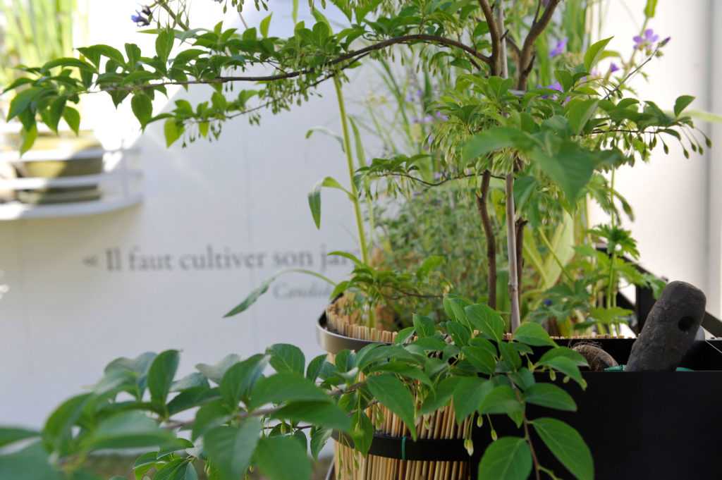 Jardinière Fenêtre Paris Courson. Le Vert à Soi