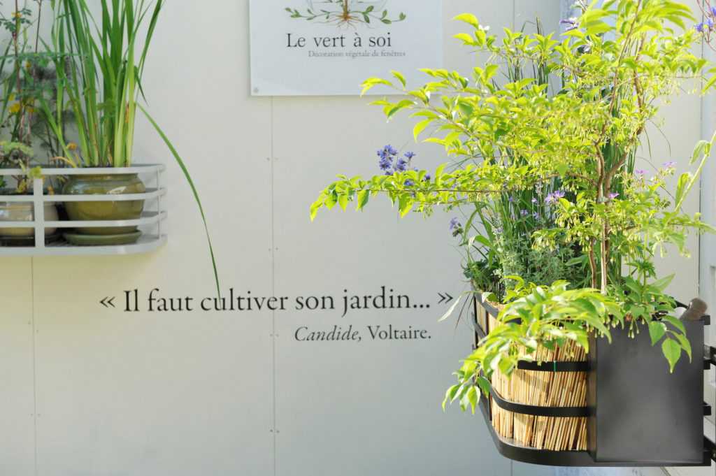 Jardinière Fenêtre Paris Courson. Le Vert à Soi