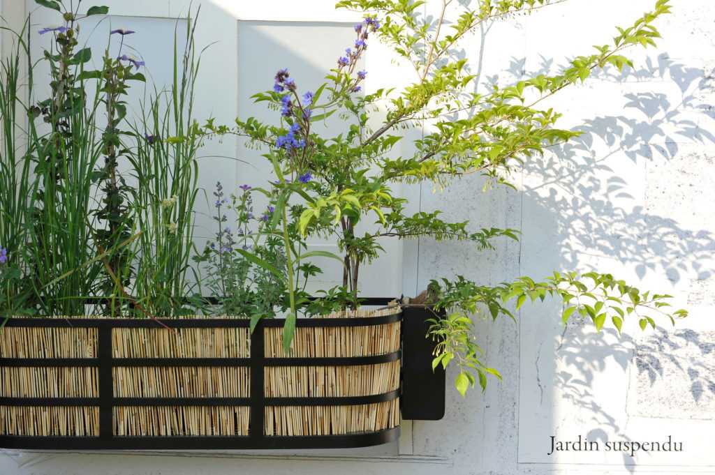 Jardinière Fenêtre Paris Courson. Le Vert à Soi