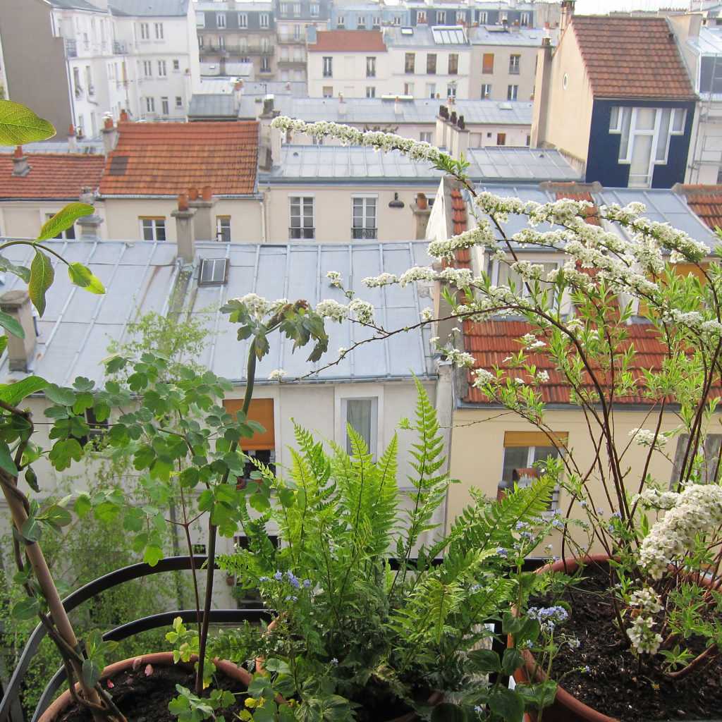 Jardinière Fenêtre Paris. Le Vert à Soi