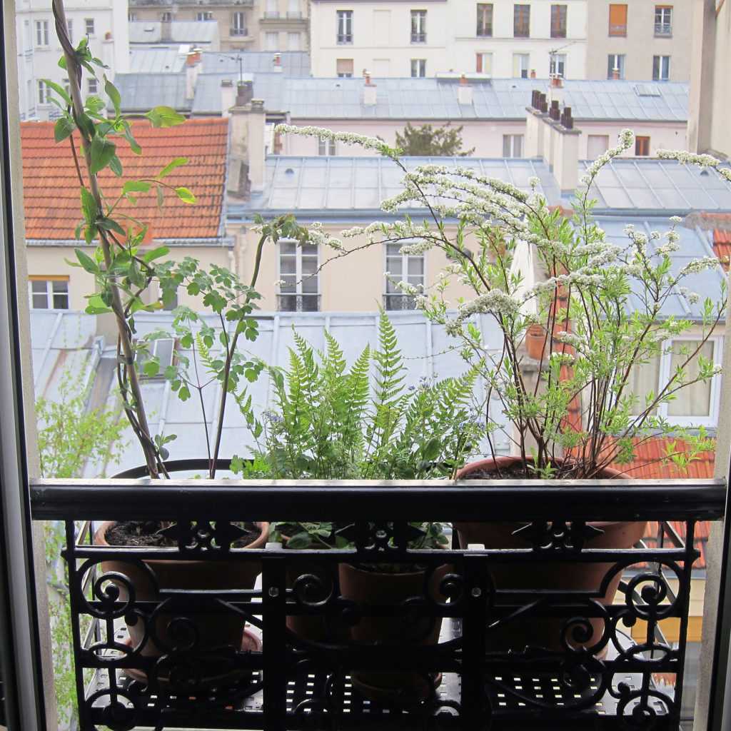 Jardinière Fenêtre Paris. Le Vert à Soi