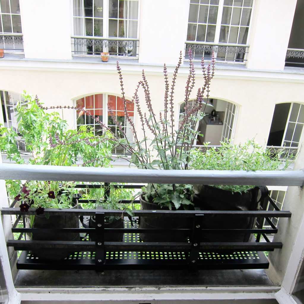 Jardinière Fenêtre Paris. Le Vert à Soi