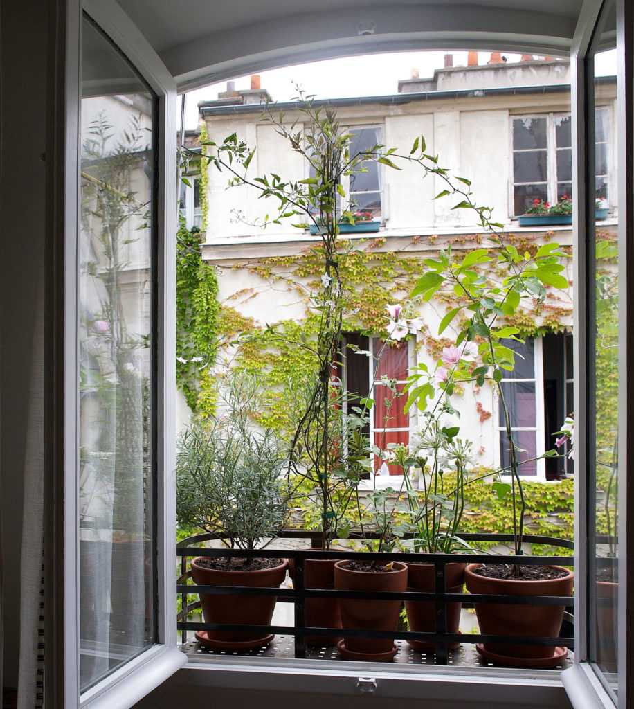 Jardinière Fenêtre Paris. Le Vert à Soi