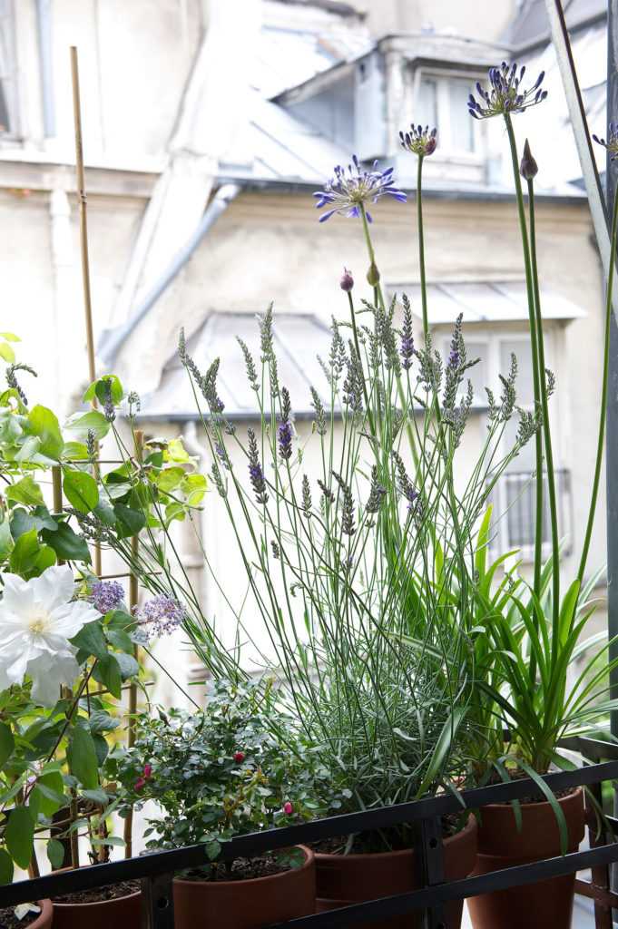 Jardinière Fenêtre Paris. Le Vert à Soi