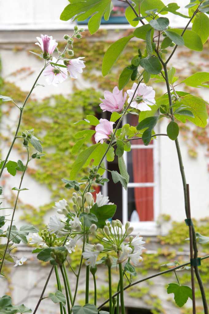 Jardinière Fenêtre Paris. Le Vert à Soi