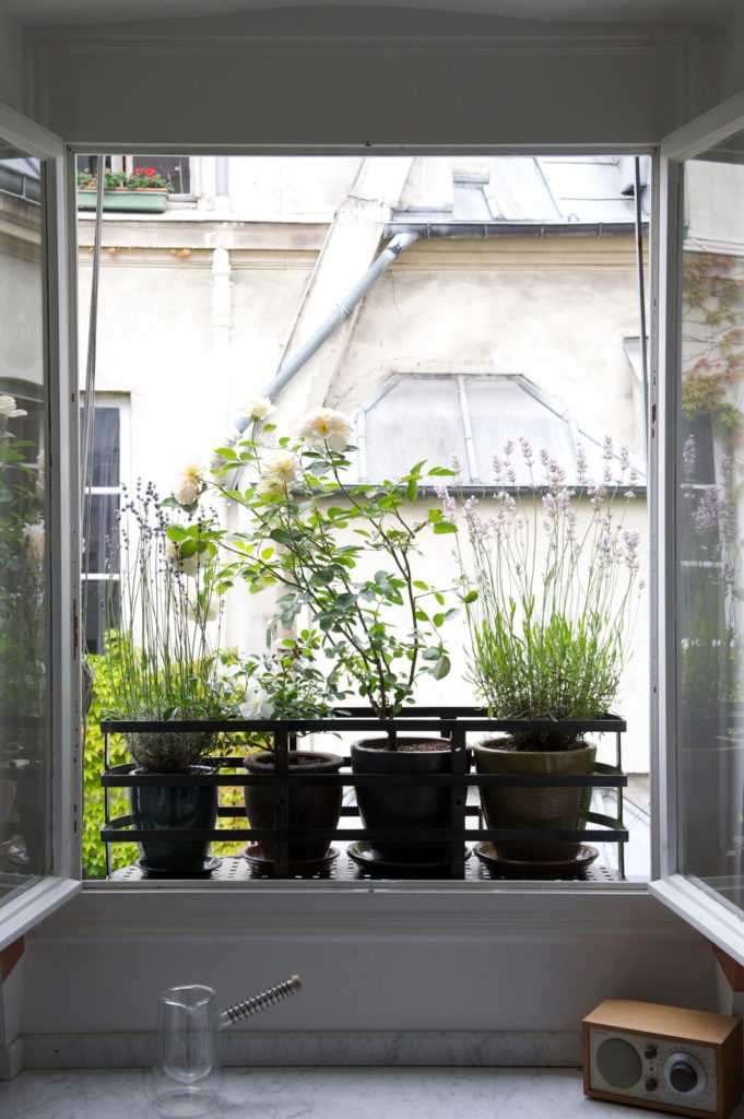 Jardinière Fenêtre Paris. Le Vert à Soi