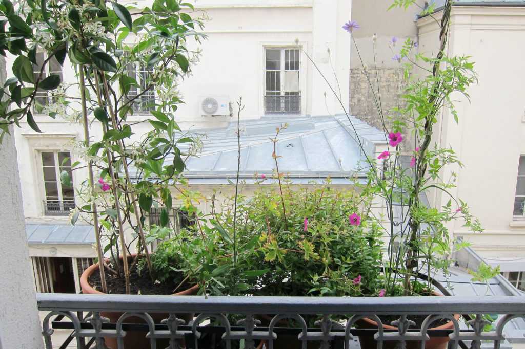 Jardinière Fenêtre Paris. Le Vert à Soi