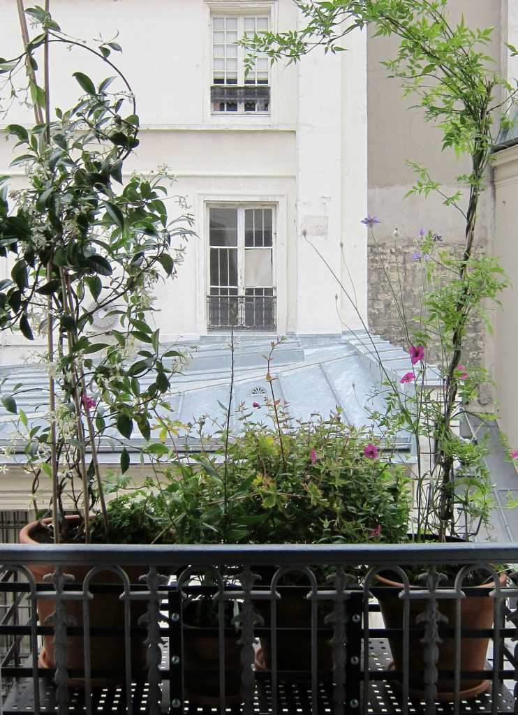 Jardinière Fenêtre Paris. Le Vert à Soi