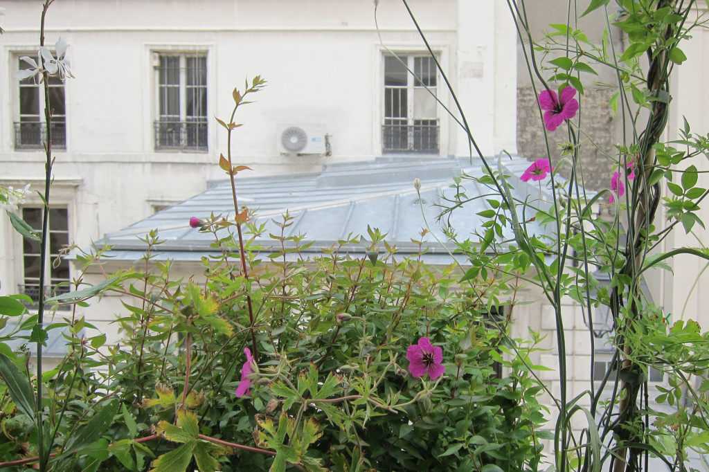 Jardinière Fenêtre Paris. Le Vert à Soi