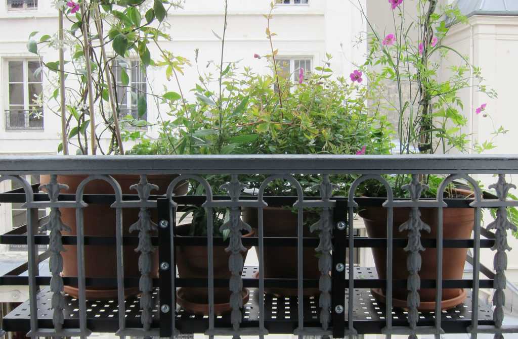 Jardinière Fenêtre Paris. Le Vert à Soi