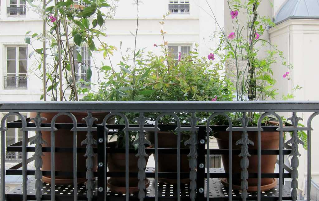 Jardinière Fenêtre Paris. Le Vert à Soi