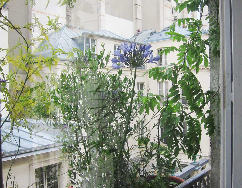 Jardinière Fenêtre Paris. Le Vert à Soi