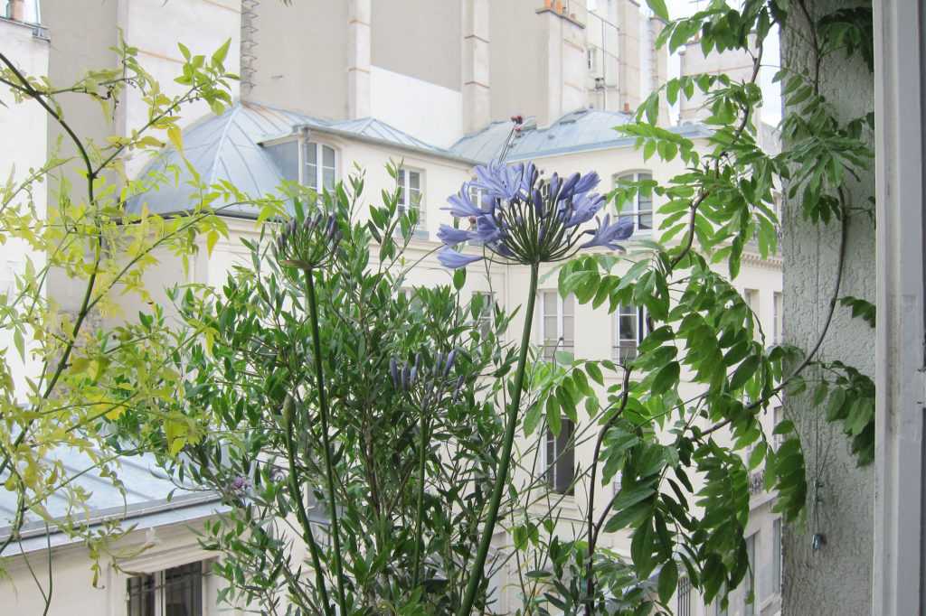 Jardinière Fenêtre Paris. Le Vert à Soi