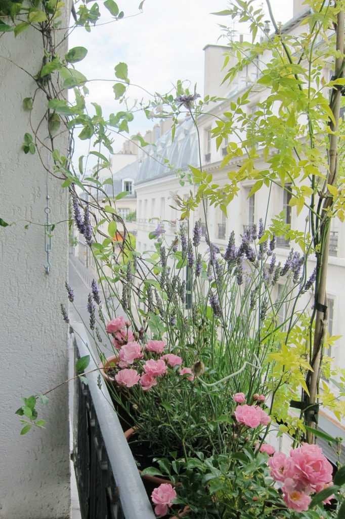 Jardinière Fenêtre Paris. Le Vert à Soi