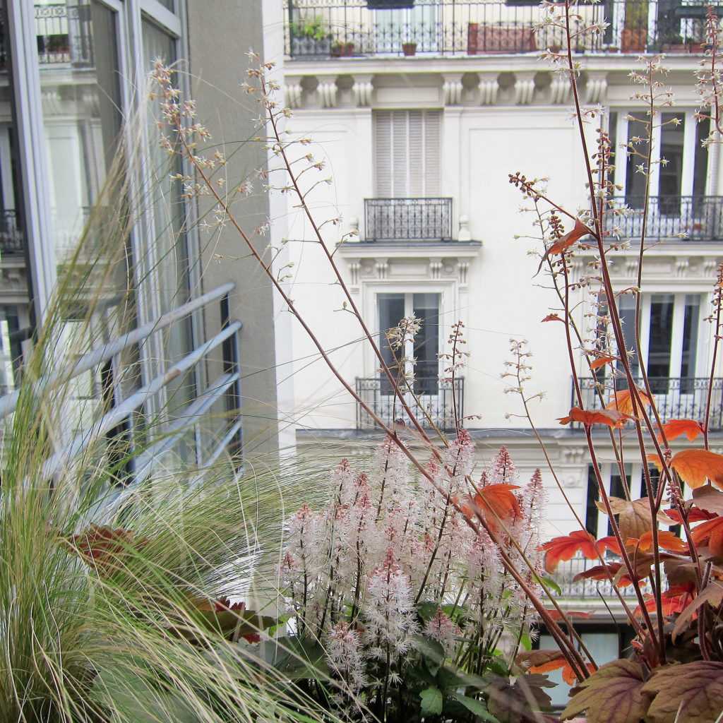 Jardinière Fenêtre Paris. Le Vert à Soi