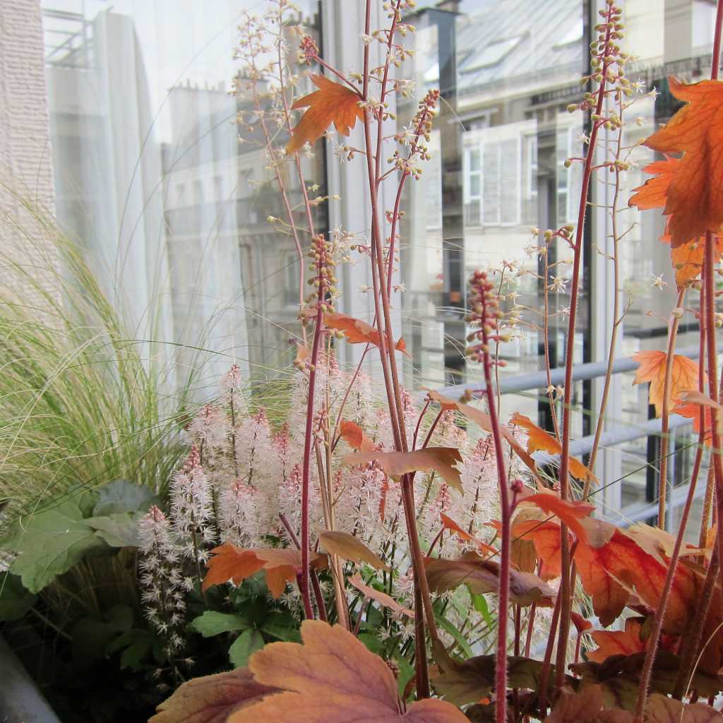 Jardinière Fenêtre Paris. Le Vert à Soi