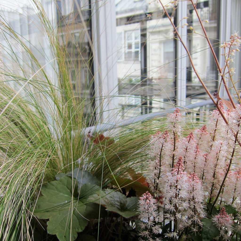 Jardinière Fenêtre Paris. Le Vert à Soi