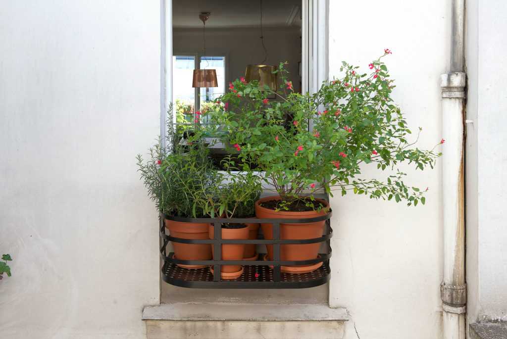 Jardinière Fenêtre Paris. Le Vert à Soi