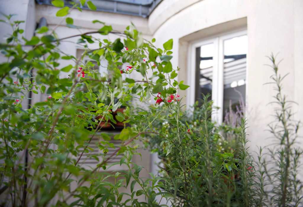 Jardinière Fenêtre Paris. Le Vert à Soi