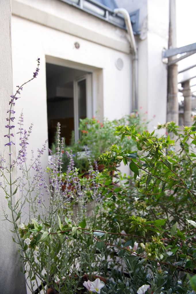 Jardinière Fenêtre Paris. Le Vert à Soi