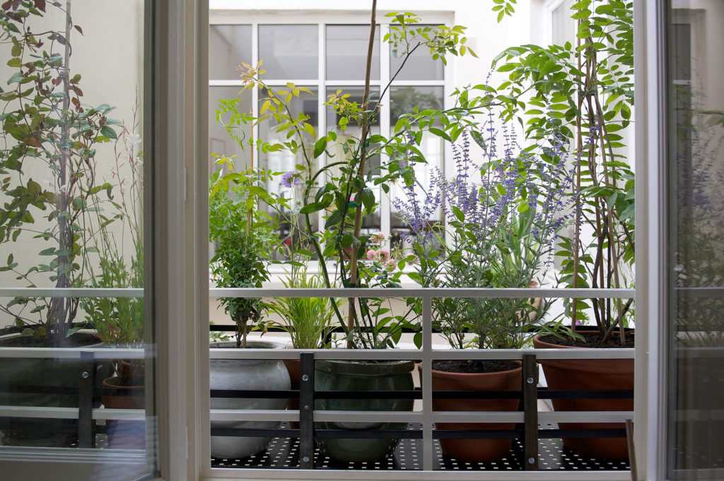 Jardinière Fenêtre Paris. Le Vert à Soi