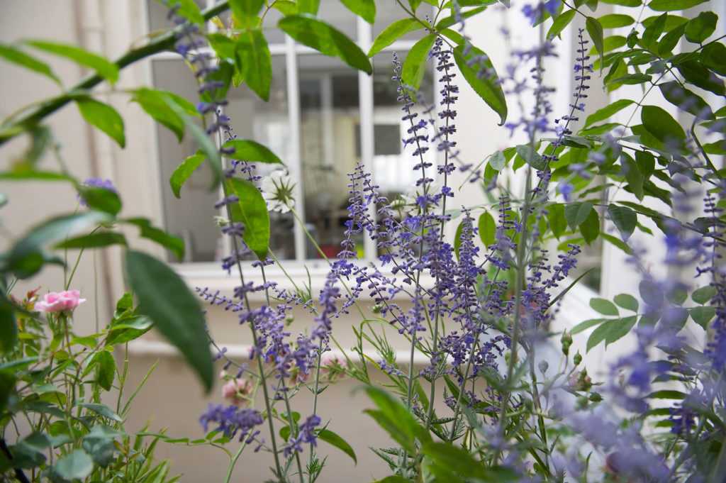 Jardinière Fenêtre Paris. Le Vert à Soi