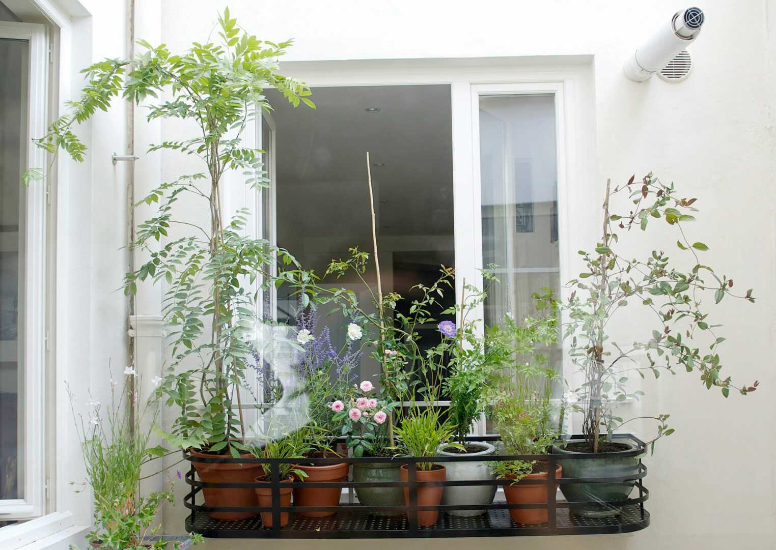 Jardinière Fenêtre Paris. Le Vert à Soi