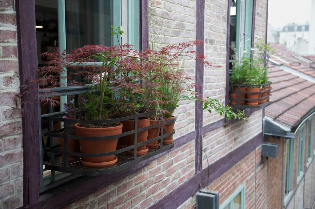 Jardinière Fenêtre Paris. Le Vert à Soi