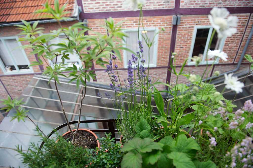 Jardinière Fenêtre Paris. Le Vert à Soi