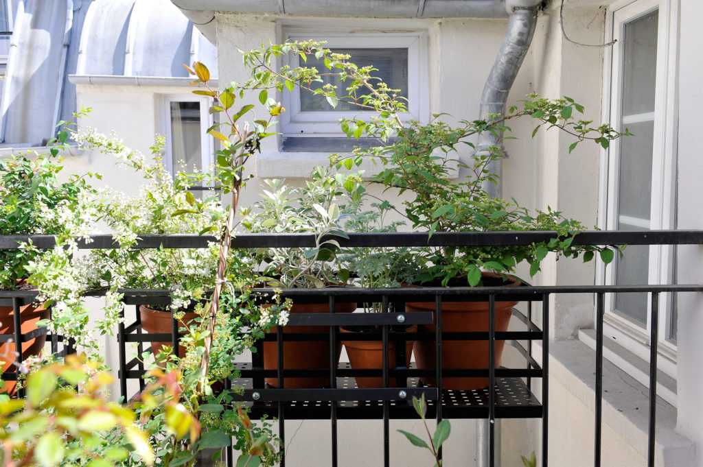 Jardinière Fenêtre Paris. Le Vert à Soi