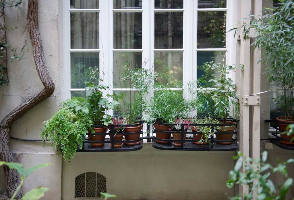 Jardinière Fenêtre Paris. Le Vert à Soi