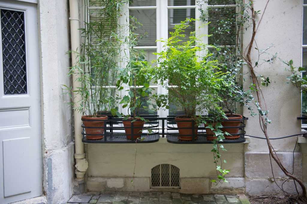 Jardinière Fenêtre Paris. Le Vert à Soi