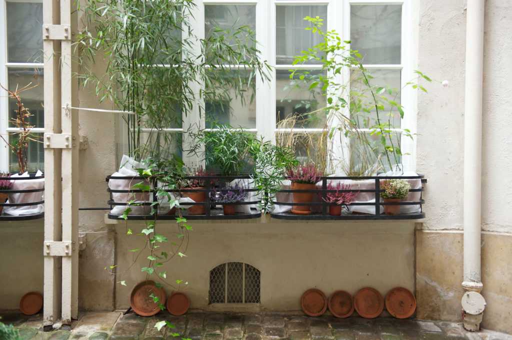 Jardinière Fenêtre Paris. Le Vert à Soi