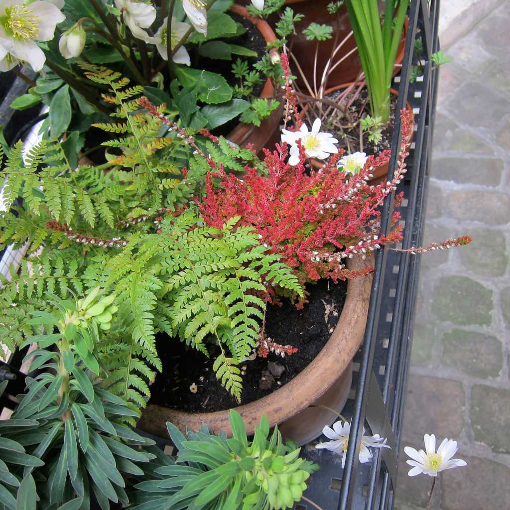 Jardinière Fenêtre Paris. Le Vert à Soi