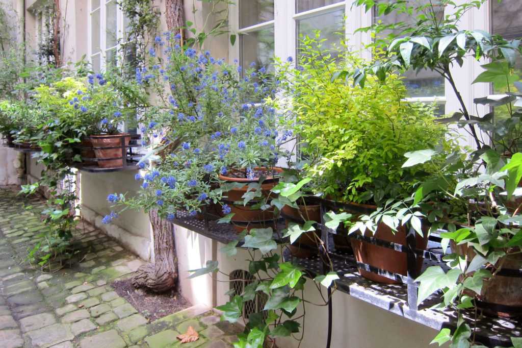 Jardinière Fenêtre Paris. Le Vert à Soi