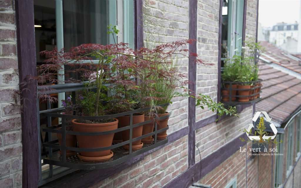 Jardinière Fenêtre Paris. Le Vert à Soi. Décoration végétale de fenêtres