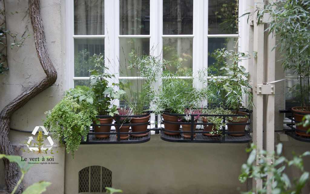 Jardinière Fenêtre Paris. Le Vert à Soi. Décoration végétale de fenêtres